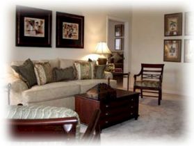 Carpet Cleaning, Steam Cleaning & Upholstery - Drymaster